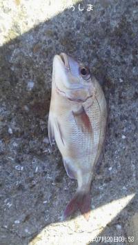 Ķ������