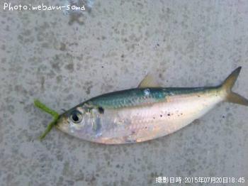 ���Υ���