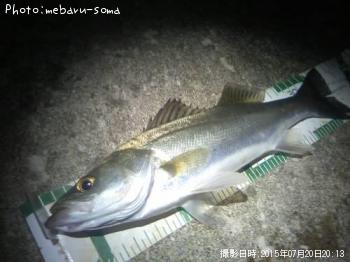 �����Х�