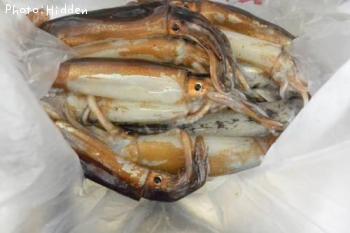 �����ʼ����ʬ����ʤ���