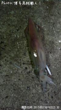 ���󥵥�����