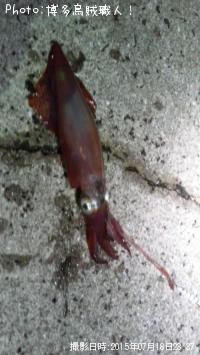 ���󥵥�����