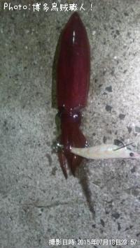 ���󥵥�����