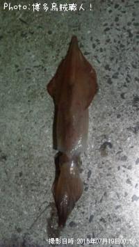 ���󥵥�����