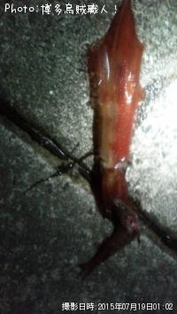 ���󥵥�����