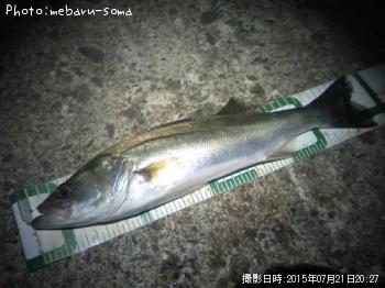 �����Х�