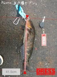 �����ʥ�