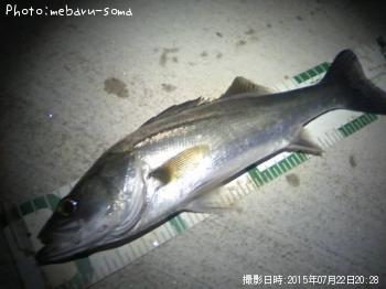 �����Х�