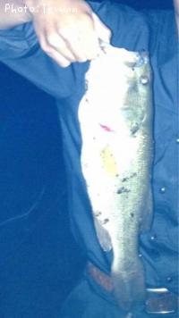 ¥Ö¥é¥Ã¥¯¥Ð¥¹