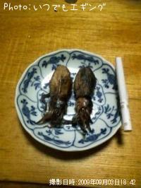 �����ꥤ��