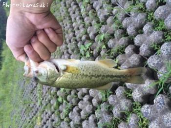 �֥�å��Х�