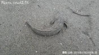 �ޥ���