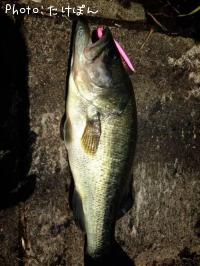 �֥�å��Х�