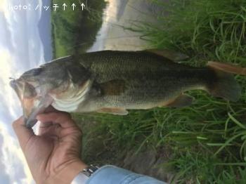 ¥Ö¥é¥Ã¥¯¥Ð¥¹