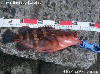 �����ϥ�