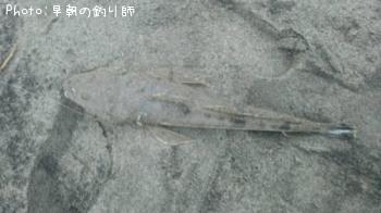 �ޥ���
