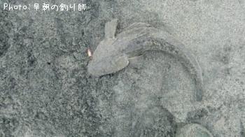 �ޥ���