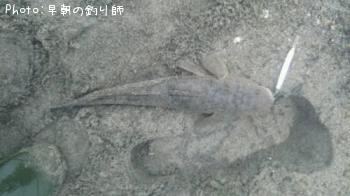 �ޥ���