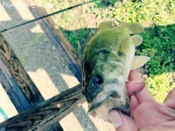 �֥�å��Х�