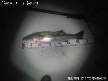 �����Х�