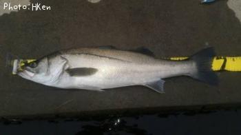 �����Х�