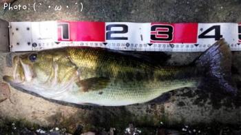 �֥�å��Х�