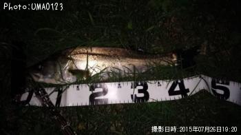 �����Х�