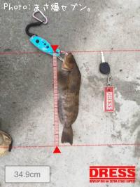 �����ʥ�