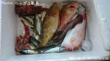 �����ϥ�