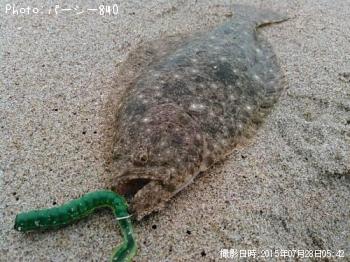 �ҥ��ʥ�����