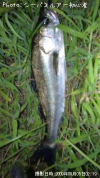 �����Х�