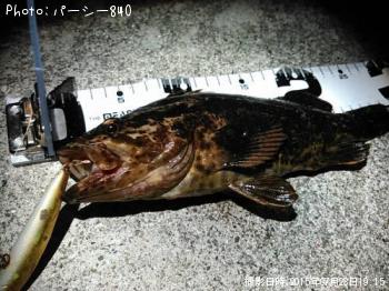 �����Υ���Х�