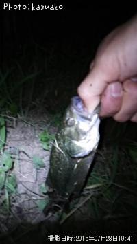 �֥�å��Х�