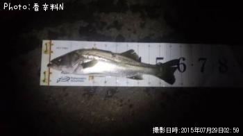 �����Х�