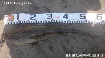 ���ޥ���