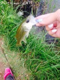 �֥�å��Х�