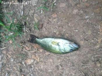 �֥�å��Х�