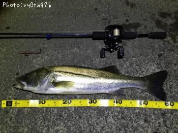 �����Х�