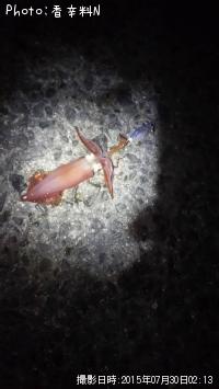 ¥±¥ó¥µ¥¥¤¥«