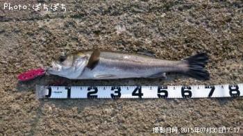 �����Х�