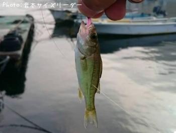 �����Х��λ�