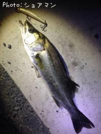 �����Х�