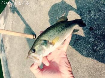 �֥�å��Х�