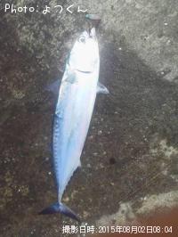 �ޥ륽����