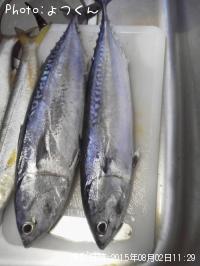 �ޥ륽����