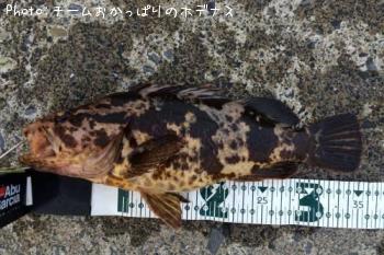 �����Υ���Х�