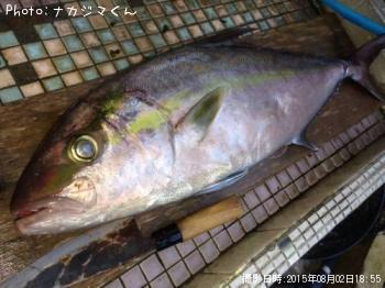 �ҥ�ʥ�����ѥ�