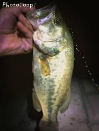 ¥Ö¥é¥Ã¥¯¥Ð¥¹