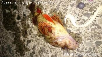 �������Х�