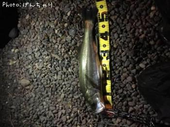 �����Х�